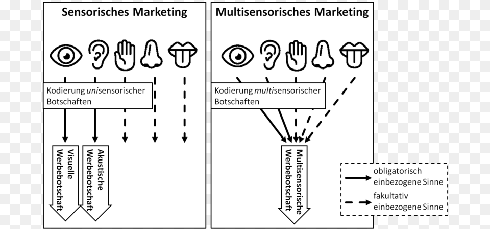Sensorisches Marketing Versus Multisensorisches Marketing Sensory Branding, Diagram, Chart, Plot Png Image