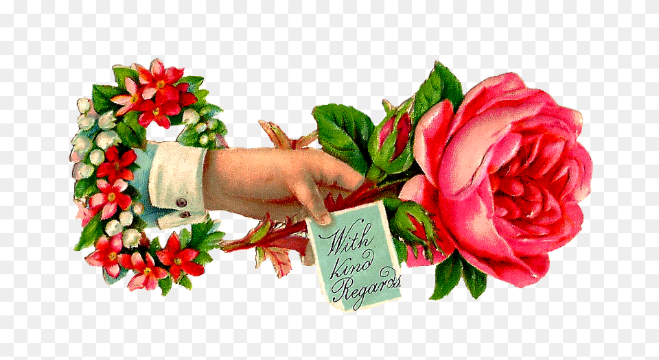Sentiment Clipart, Rose, Plant, Flower Bouquet, Flower Arrangement Png