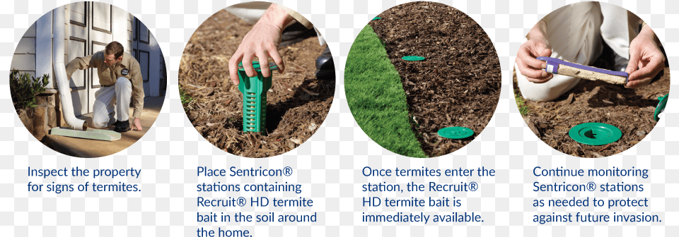 Sentricon Termite Control 4 Step Plantation, Soil, Planting, Plant, Person Free Png Download