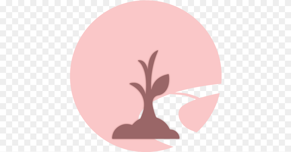 Seo Illustration, Potted Plant, Plant, Flower, Petal Png