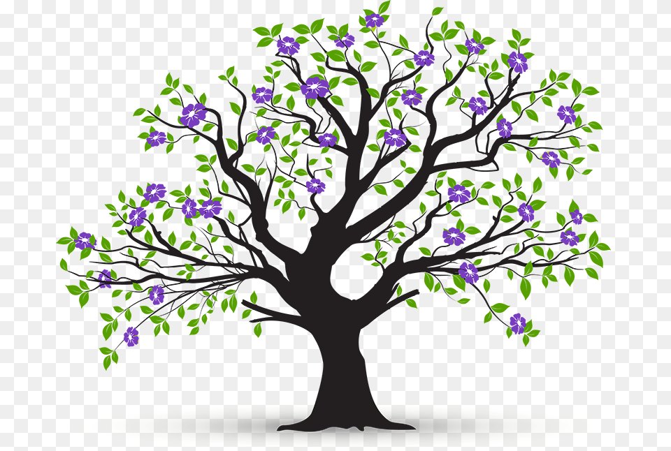Seo Is Also Just Like A Tree If You Give It Organic Dessin Arbre Avec Feuilles, Oak, Plant, Potted Plant, Purple Png