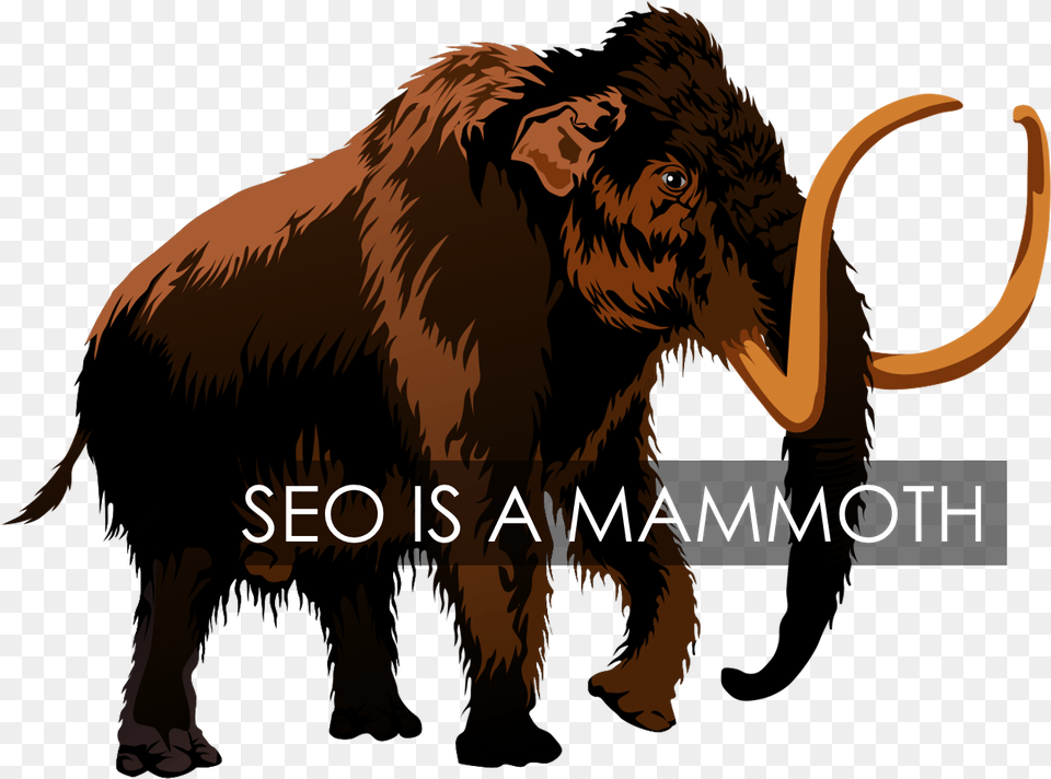Seo Mammoth Woolly Mammoth Clipart, Face, Head, Person, Animal Free Transparent Png