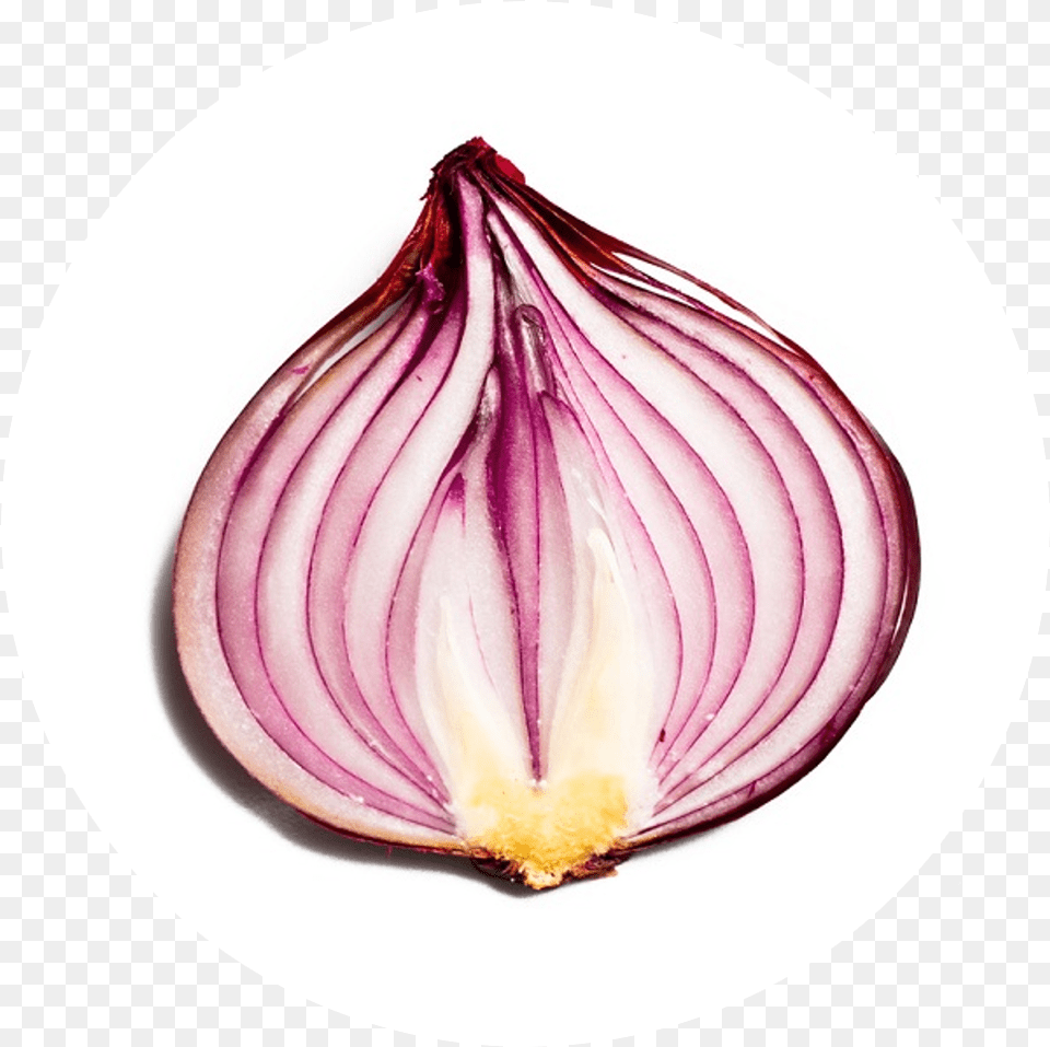 Sep Half Onion, Food, Produce, Plant, Vegetable Png Image