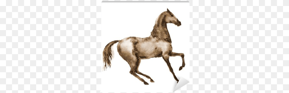 Sepia Drawing Horse Drawing, Animal, Colt Horse, Mammal Free Transparent Png