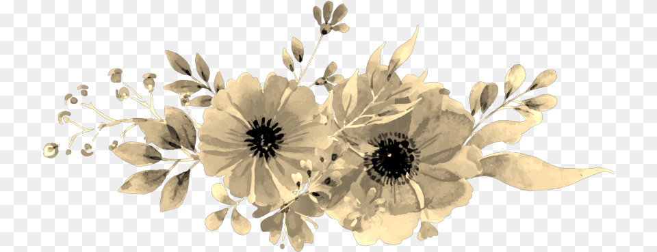 Sepia Flowers Aesthetic African Daisy, Flower Arrangement, Plant, Art, Floral Design Png Image