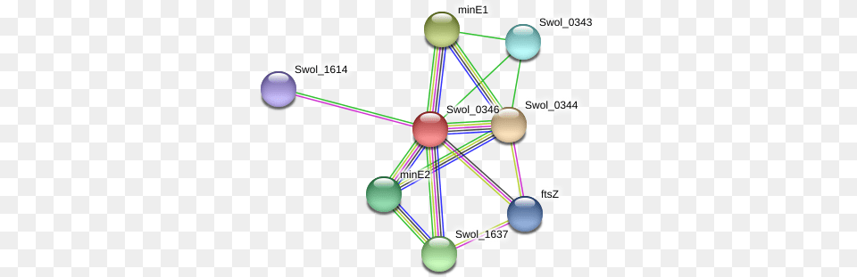 Septum Ring, Network, Chandelier, Lamp, Diagram Free Transparent Png