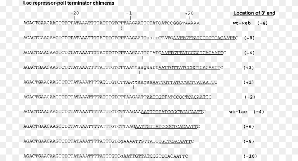 Sequences Of The Yeast Poli Terminator And The Lac Nucleic Acid Sequence, Gray Free Png Download
