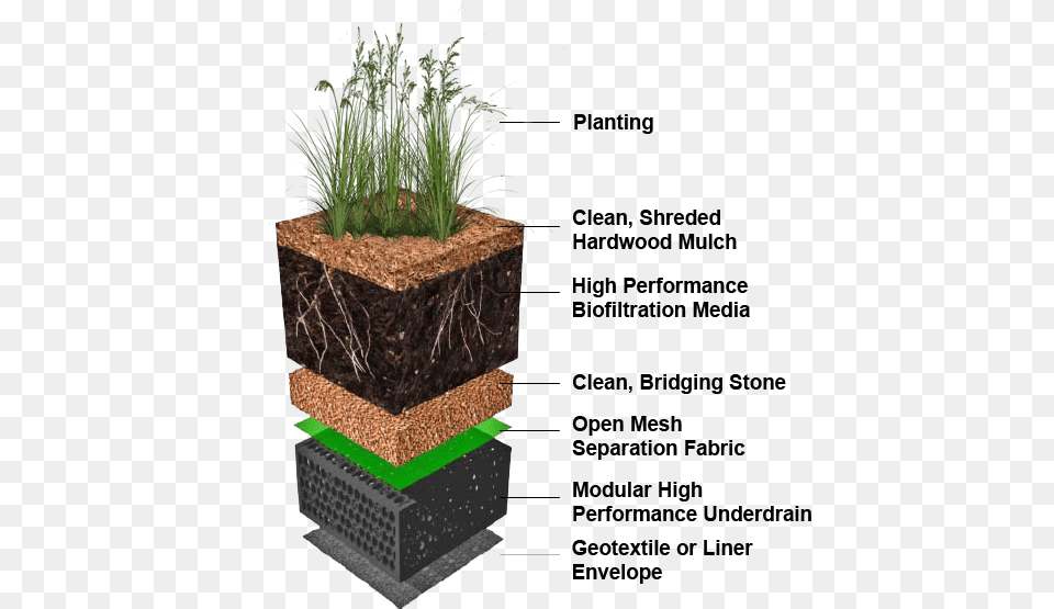 Sequential Sedimentation Biofiltration System, Vase, Soil, Pottery, Potted Plant Free Png