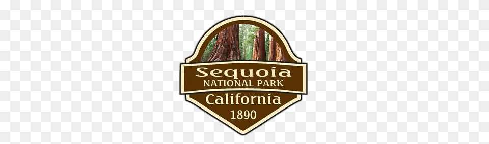 Sequoia National Park, Plant, Tree, Grove, Land Free Png