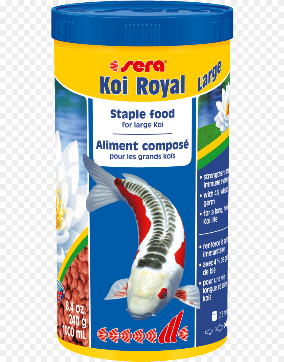 Sera Koi Royal Mini, Animal, Fish, Sea Life, Carp Png Image