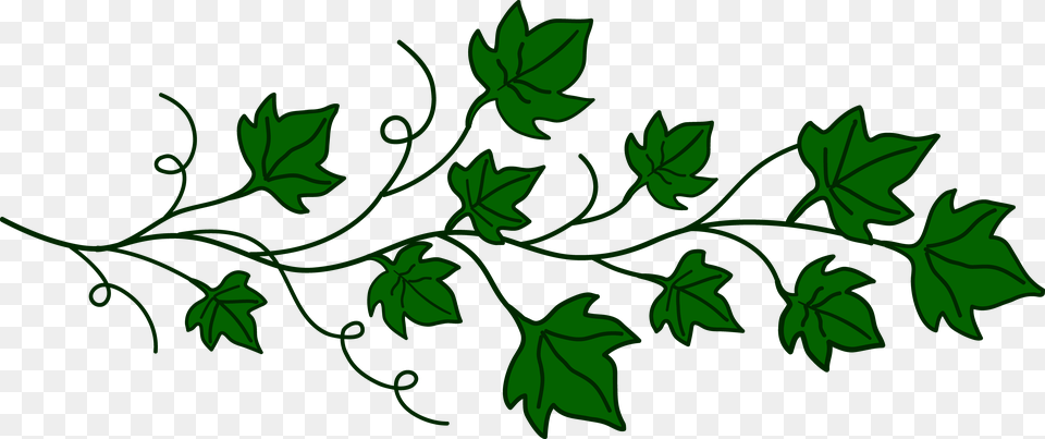 Serenity Clipart Leaf Vine, Plant, Green, Pattern, Art Png
