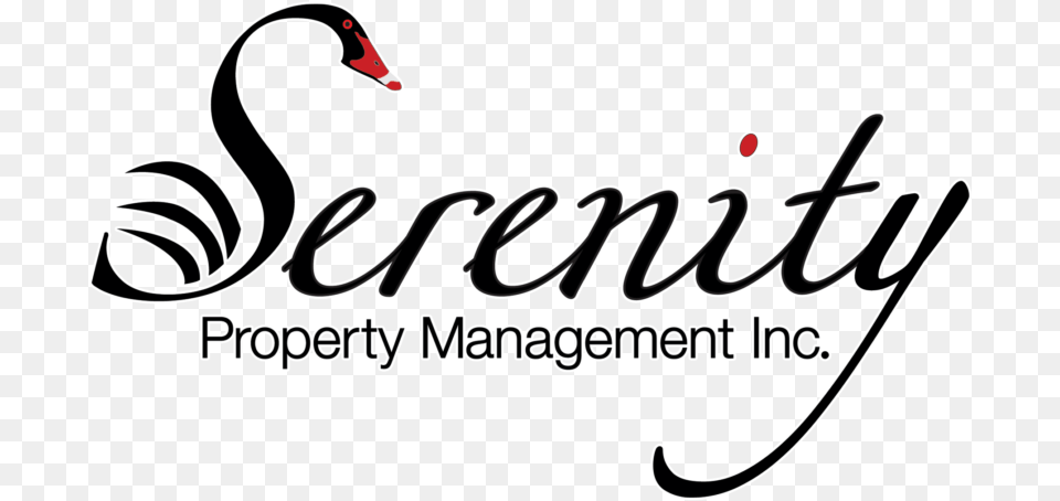 Serenity Property Management Dont Waste My Time, Animal, Bird, Waterfowl, Swan Free Png Download
