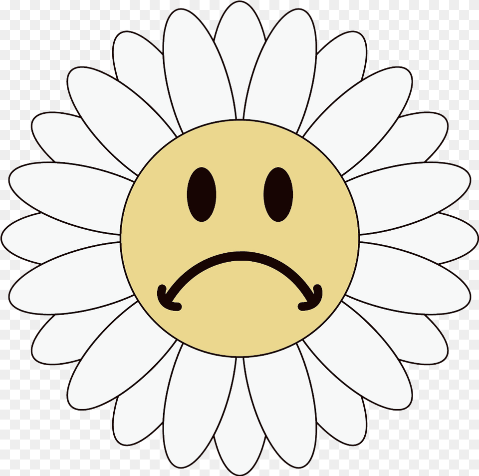 Sergent Major Soldes, Daisy, Flower, Plant, Petal Free Transparent Png