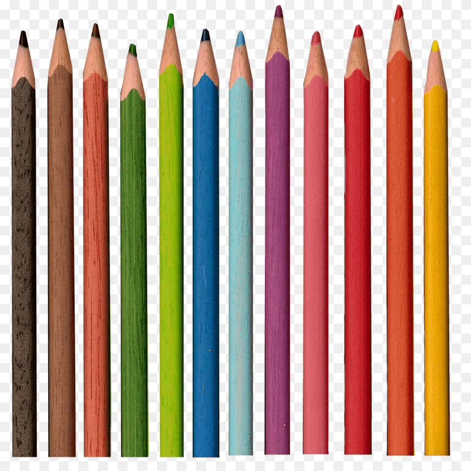 Series Of Pencils, Pencil Free Png