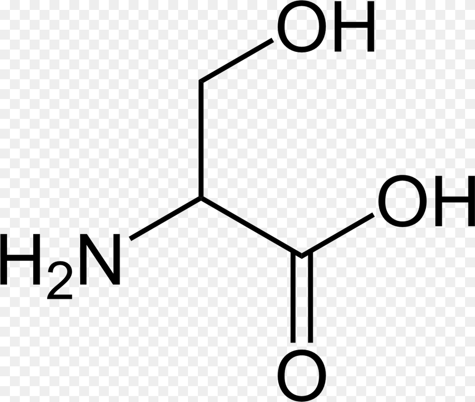 Serine Simple Serine Amino Acid Structure Png Image