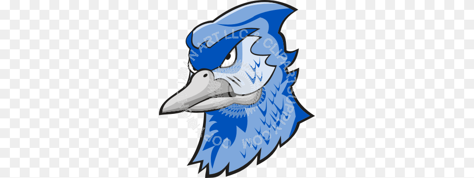 Serious Blue Jay Head, Animal, Bird, Beak, Blue Jay Png