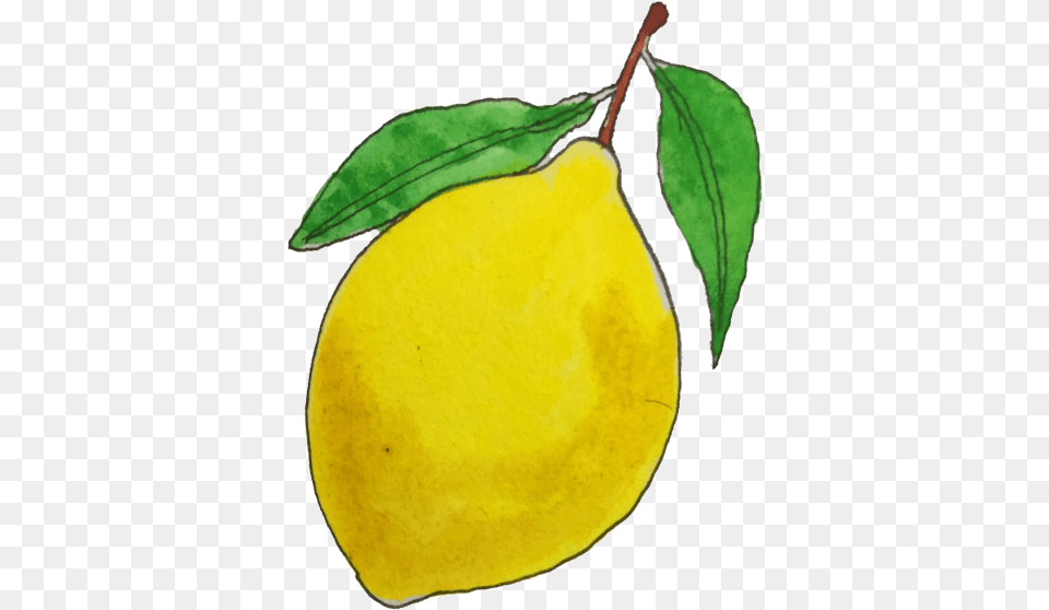 Serious Lemon 1 Meyer Lemon, Food, Fruit, Plant, Produce Png Image