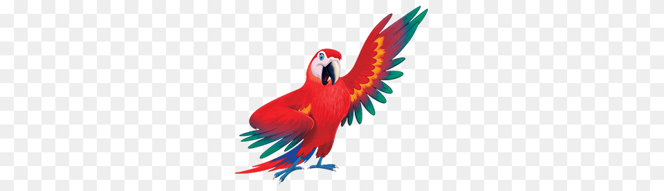 Sermons Httpsnorthmanchesterfbc Files, Animal, Bird, Macaw, Parrot Png