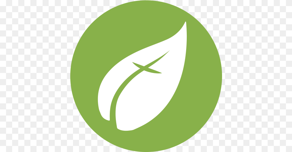 Sermons Vertical, Flower, Plant, Leaf Png