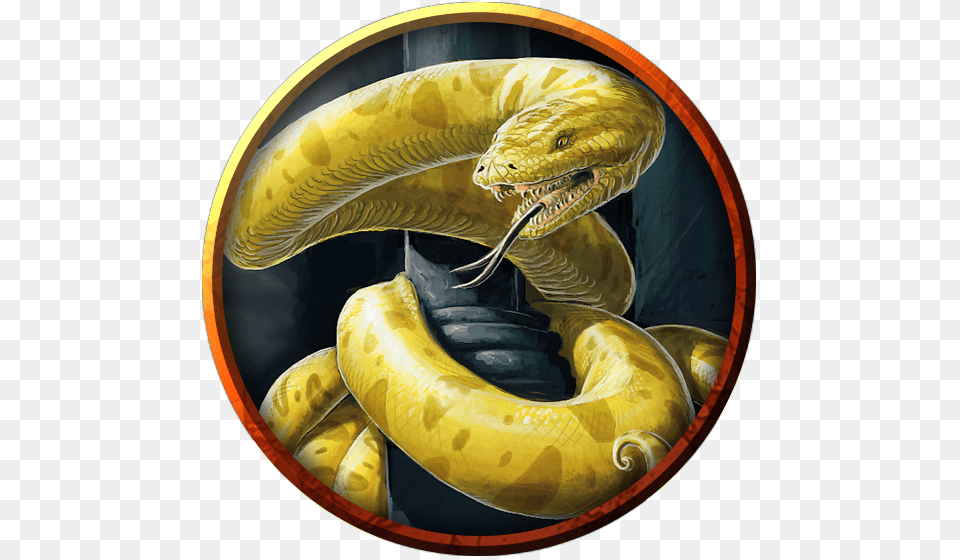 Serpent, Animal, Reptile, Snake, Lizard Free Png Download