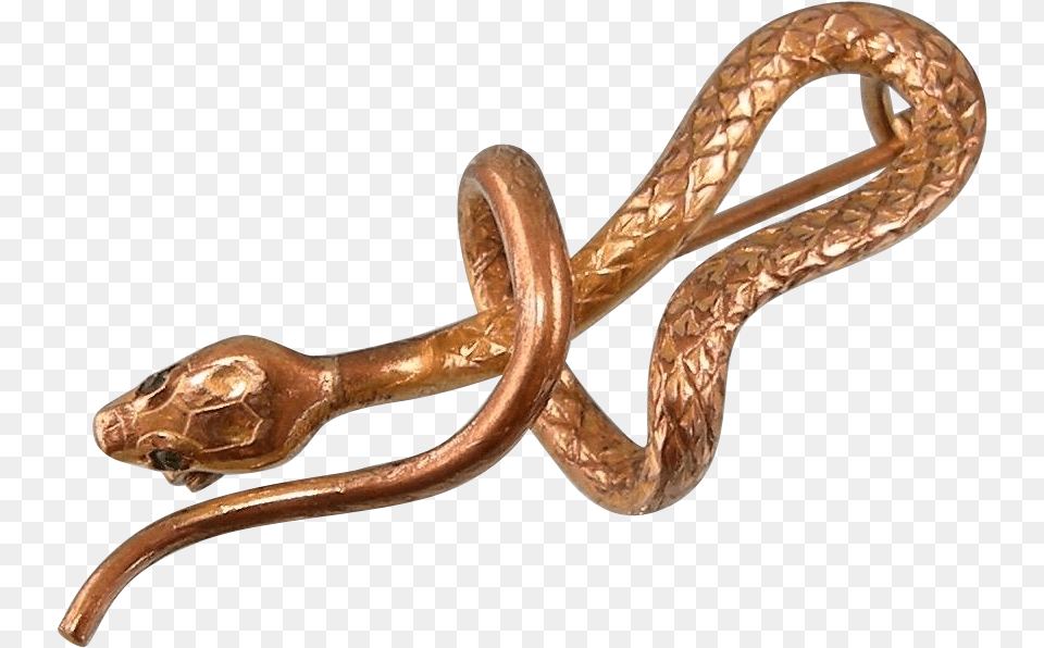 Serpent, Accessories, Bronze, Smoke Pipe, Jewelry Free Png