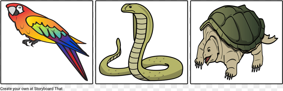 Serpent, Animal, Reptile, Snake, Bird Free Png