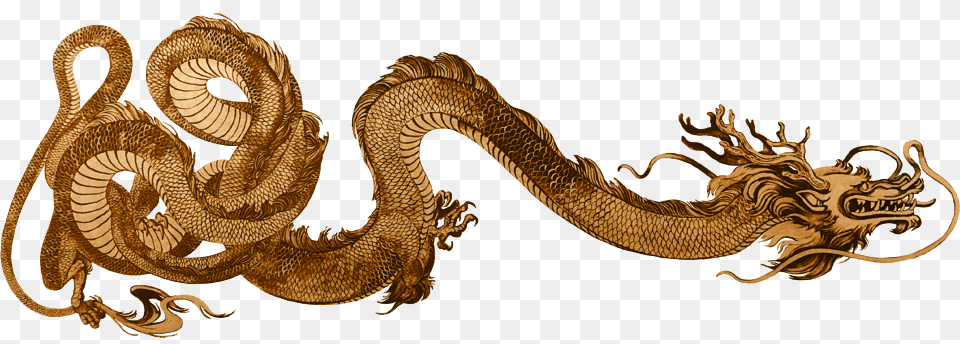 Serpent, Animal, Reptile, Snake, Dragon Free Png