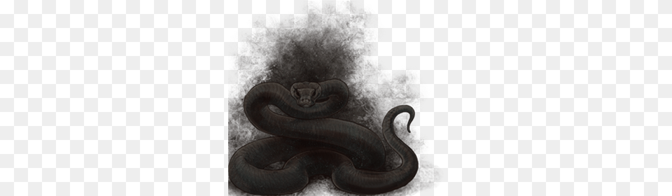 Serpent, Animal, Reptile, Snake Free Transparent Png