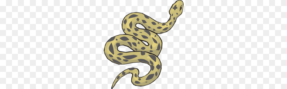 Serpent Clipart, Animal, Reptile, Snake Free Png Download
