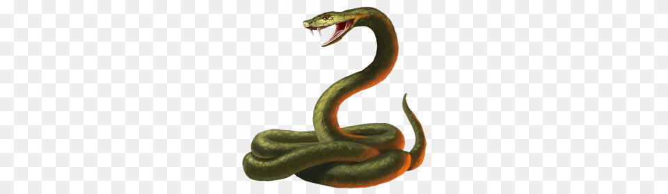 Serpent Image, Animal, Reptile, Snake Free Transparent Png