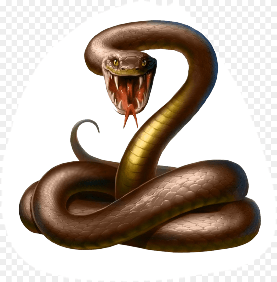 Serpentina Snake, Animal, Reptile, Cobra Png