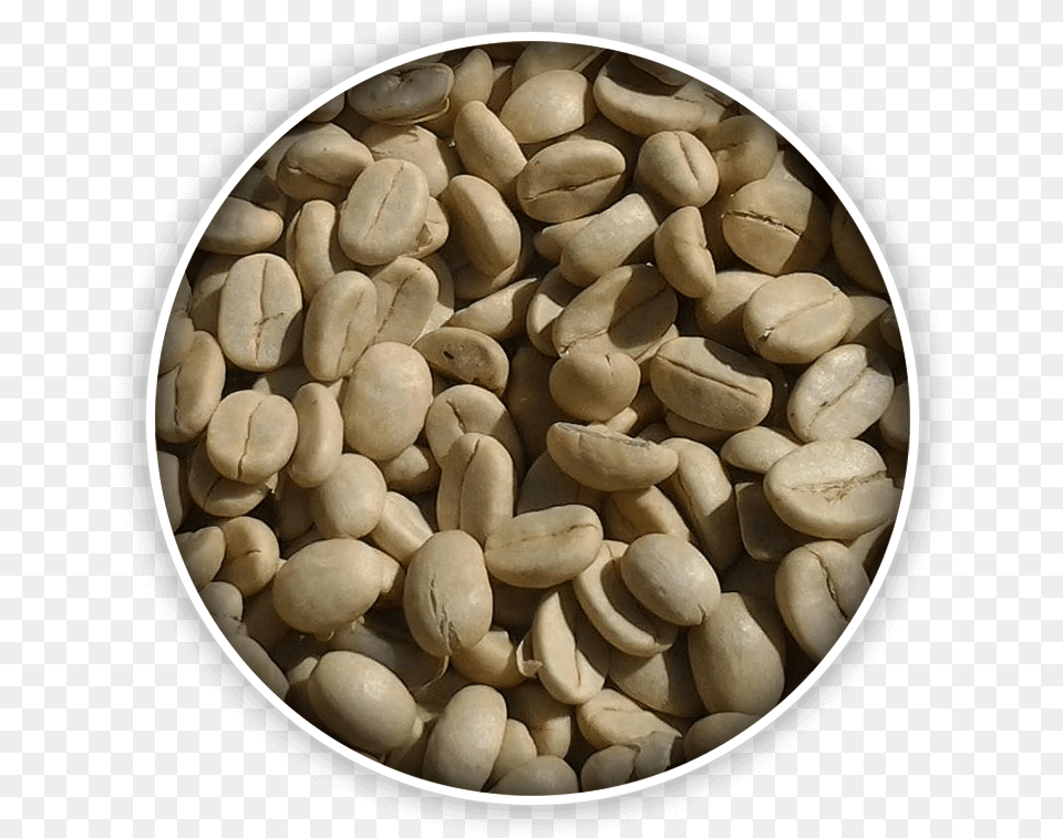 Serve Your Customers The Freshest Coffee Seed, Bean, Food, Plant, Produce Free Png