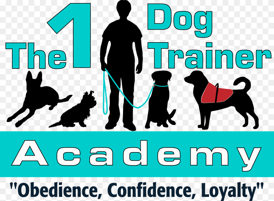 Service Animal Academy Dog Catches Something, Adult, Person, Man, Male Free Png