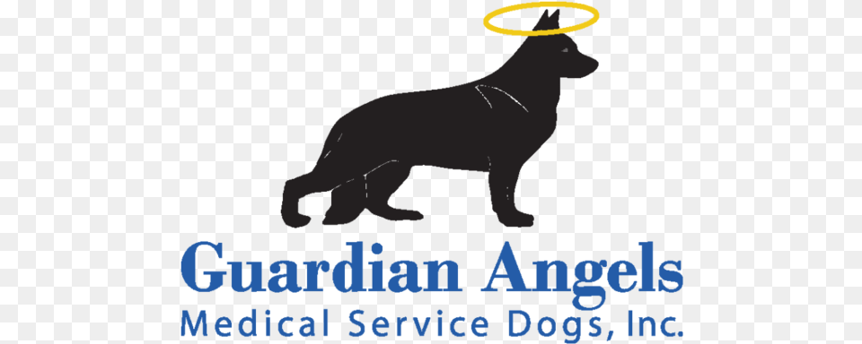 Service Dog, Animal, Cat, Mammal, Pet Png