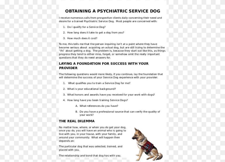 Service Dog, Animal, Canine, Mammal, Pet Png