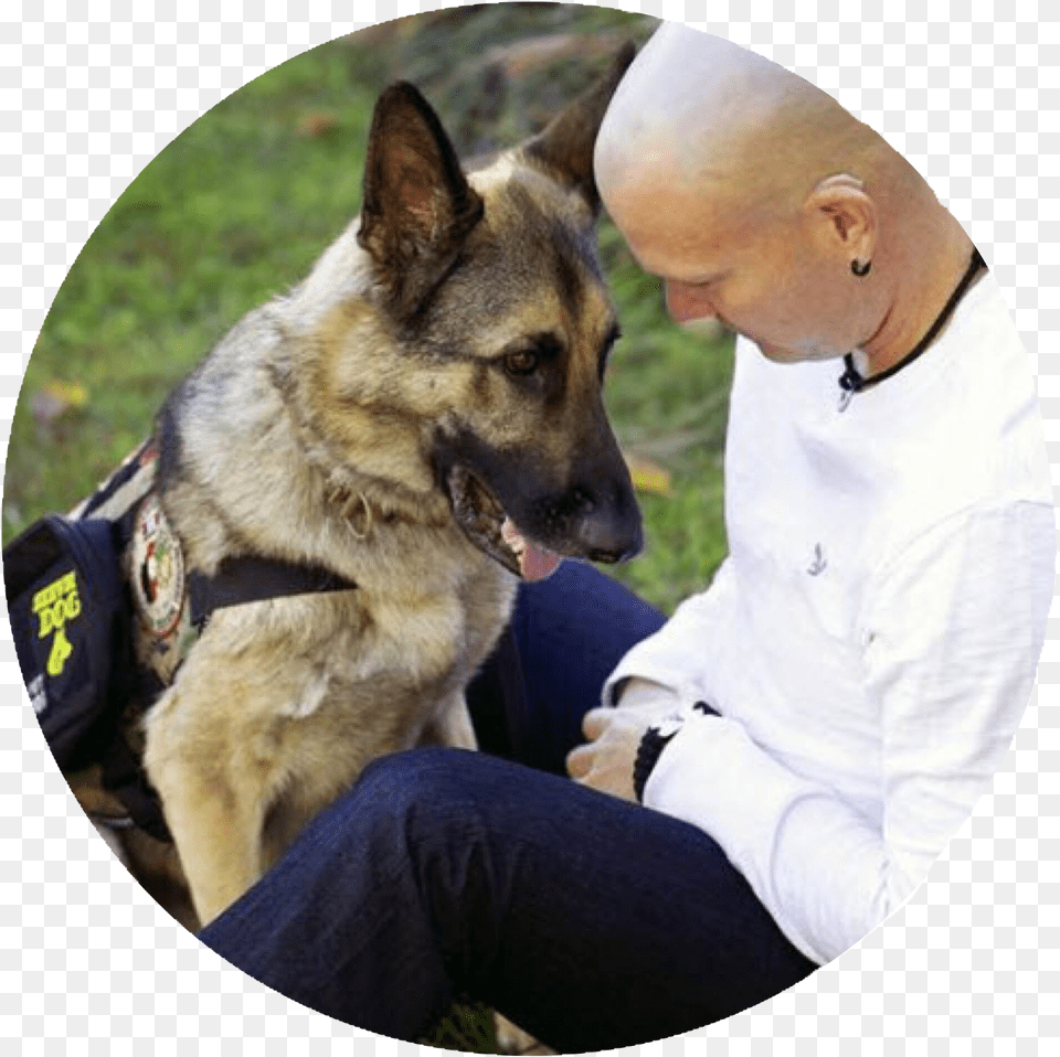 Service Dog, Adult, Pet, Person, Man Free Transparent Png