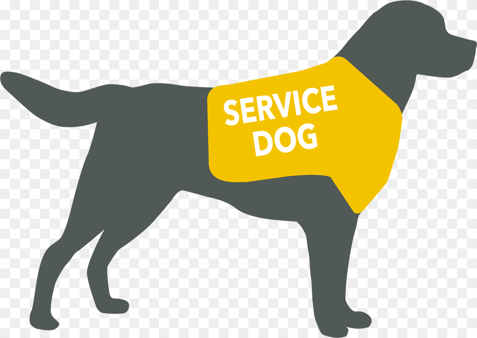 Service Dog Clipart, Vest, Lifejacket, Clothing, Canine Free Png
