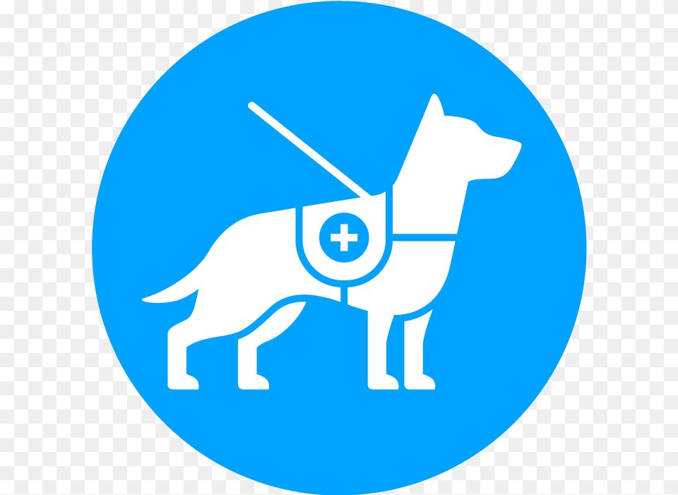 Service Dog Service Dog Icon, First Aid, Animal, Mammal Free Transparent Png