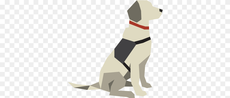 Service Dogs Companion Dog, Person, Accessories, Animal, Canine Free Png Download