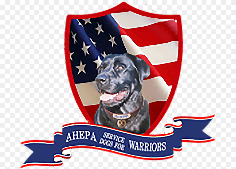 Service Dogs For Wounded Warriors Suffering From Ptsd Ibot American Flag 3 X 5 Feet Us Flag, American Flag, Animal, Canine, Dog Free Png
