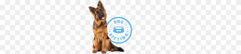 Services Fairytails Pet Sitting Dog Walking San Antonio, Animal, Canine, German Shepherd, Mammal Free Png