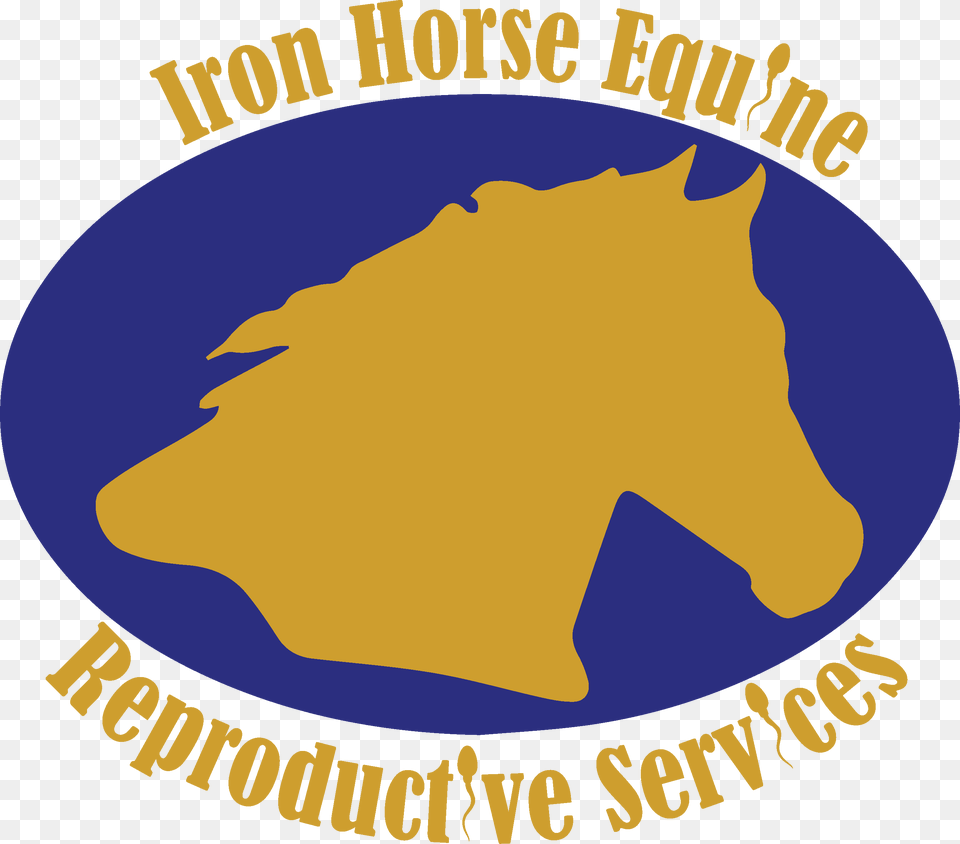 Services Iron Horse Equine, Badge, Logo, Symbol, Animal Free Png