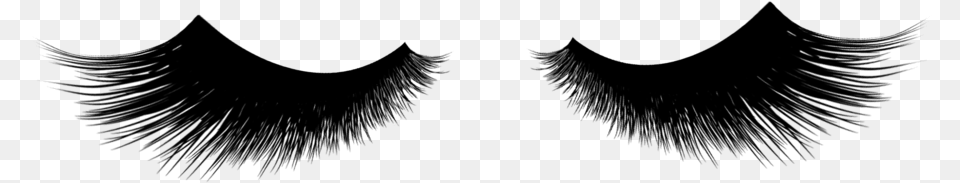 Services Let S Lash Eyelash Extensions, Silhouette, Outdoors, Nature, Night Free Png Download