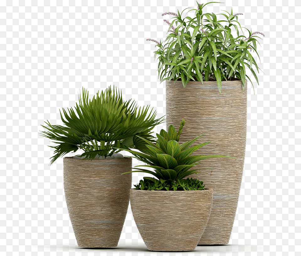 Services Plant Plant Psd, Jar, Planter, Potted Plant, Pottery Png