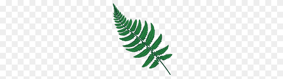 Services Ranunc Interiors, Fern, Leaf, Plant Png Image