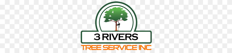 Services Rivers Tree Service Inc, Plant, Logo, Scoreboard, Vegetation Png