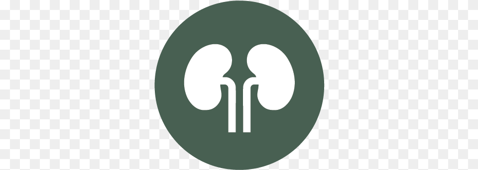 Services Rocky Mountain Kidney Care Dot, Cutlery, Spoon, Disk Free Transparent Png