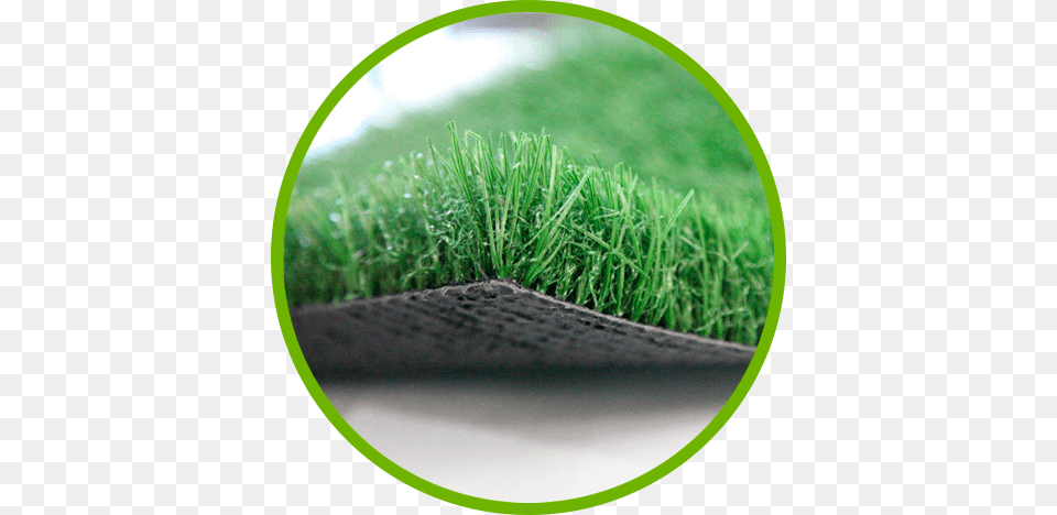 Servicio Y Calidad Garantizada Artificial Grass Carpet, Lawn, Moss, Plant Png