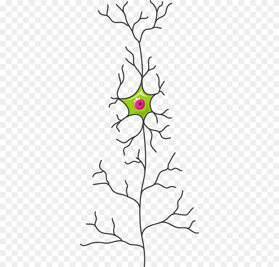 Servier Medical Art Neuron, Leaf, Pattern, Plant, Floral Design Png