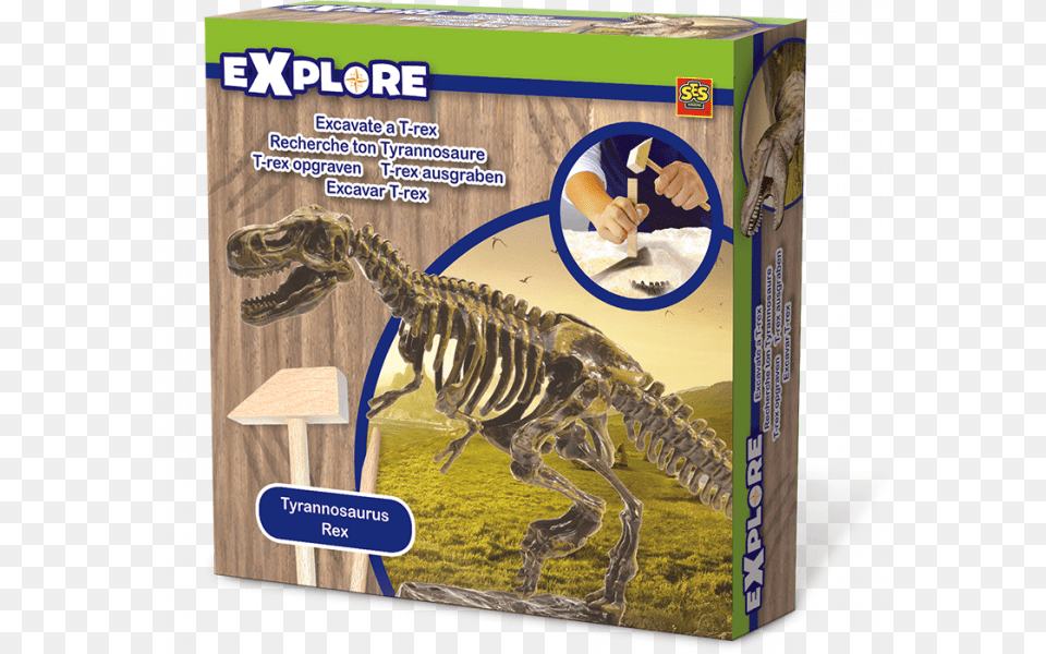 Ses Explore, Animal, Dinosaur, Reptile, T-rex Png
